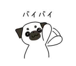 ShiroPug(White pug) sticker #10035857