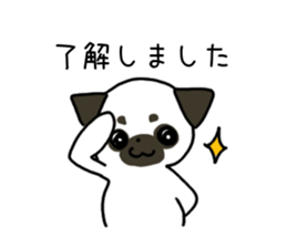 ShiroPug(White pug) sticker #10035862