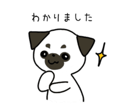 ShiroPug(White pug) sticker #10035863