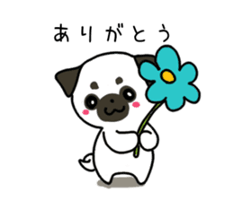 ShiroPug(White pug) sticker #10035864