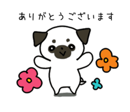 ShiroPug(White pug) sticker #10035865