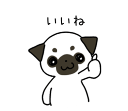 ShiroPug(White pug) sticker #10035867