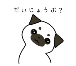 ShiroPug(White pug) sticker #10035868