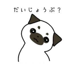 ShiroPug(White pug) sticker #10035868