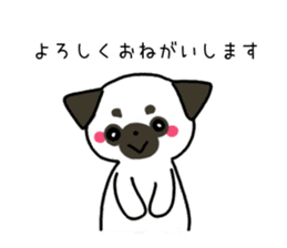 ShiroPug(White pug) sticker #10035871