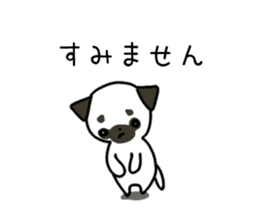 ShiroPug(White pug) sticker #10035872