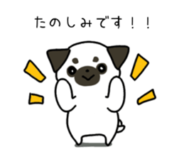 ShiroPug(White pug) sticker #10035880