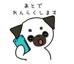 ShiroPug(White pug) sticker #10035881