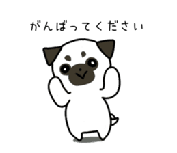 ShiroPug(White pug) sticker #10035884