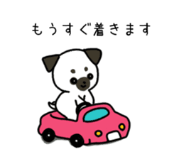 ShiroPug(White pug) sticker #10035885