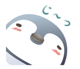 Emperor penguin-san sticker #10036713