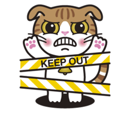ALICE the Scottish Fold Cat sticker #10036903