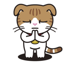 ALICE the Scottish Fold Cat sticker #10036919