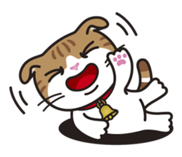 ALICE the Scottish Fold Cat sticker #10036924