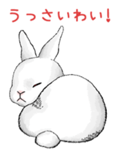 Puns animal sticker #10037012