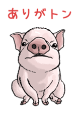 Puns animal sticker #10037017