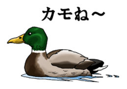 Puns animal sticker #10037028