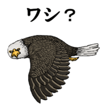 Puns animal sticker #10037029