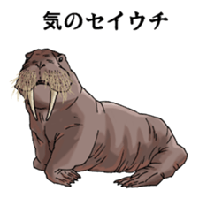 Puns animal sticker #10037030