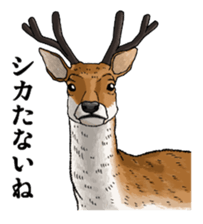 Puns animal sticker #10037034