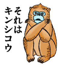 Puns animal sticker #10037038