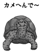 Puns animal sticker #10037044