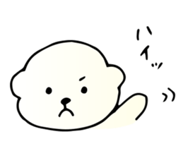 BichonFrise Kabu sticker #10037950
