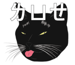 LazyFatBlackCat sticker #10038857