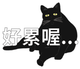 LazyFatBlackCat sticker #10038861