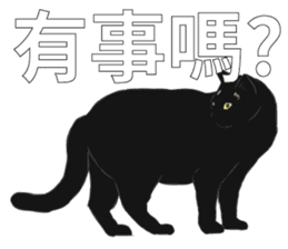 LazyFatBlackCat sticker #10038865