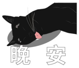 LazyFatBlackCat sticker #10038882
