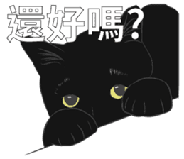 LazyFatBlackCat sticker #10038885