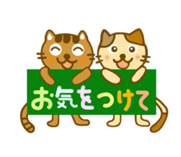 Every day cat sticker sticker #10039235