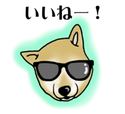 Shiba Inu Aruaru Sticker sticker #10041051