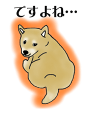 Shiba Inu Aruaru Sticker sticker #10041059