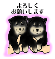 Shiba Inu Aruaru Sticker sticker #10041060