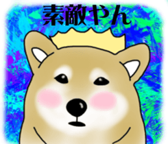 Shiba Inu Aruaru Sticker sticker #10041065