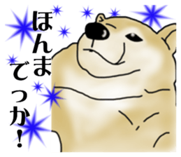 Shiba Inu Aruaru Sticker sticker #10041067