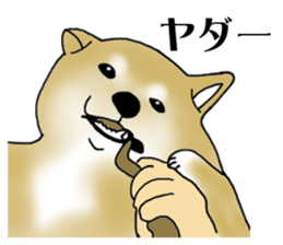 Shiba Inu Aruaru Sticker sticker #10041069