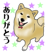 Shiba Inu Aruaru Sticker sticker #10041072