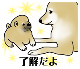 Shiba Inu Aruaru Sticker sticker #10041073