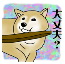Shiba Inu Aruaru Sticker sticker #10041075