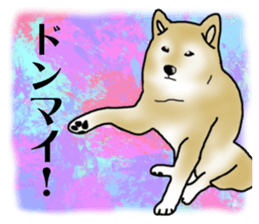 Shiba Inu Aruaru Sticker sticker #10041076