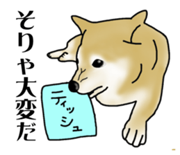 Shiba Inu Aruaru Sticker sticker #10041077