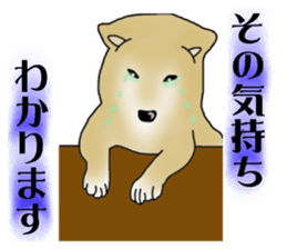 Shiba Inu Aruaru Sticker sticker #10041078