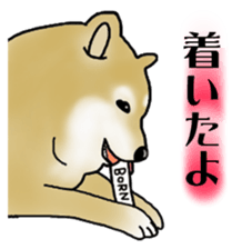 Shiba Inu Aruaru Sticker sticker #10041080