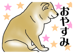 Shiba Inu Aruaru Sticker sticker #10041082