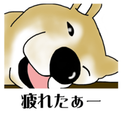 Shiba Inu Aruaru Sticker sticker #10041083