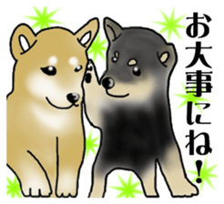 Shiba Inu Aruaru Sticker sticker #10041084