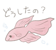 poisson d'avril sticker #10043499